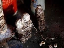 RITUEL POUR FAVORISER UNE D�CLARATION D'AMOUR..